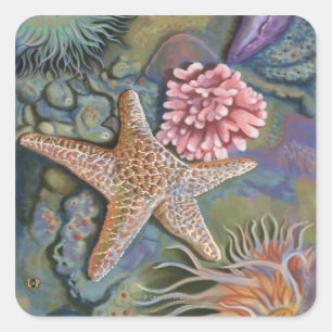 Sticker Carré Nouvelle scène de HampshireTidepool