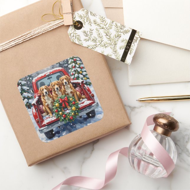 Sticker Carré Nova Scotia Duck Tolling Retriever Christmas Red (Cadeaux)