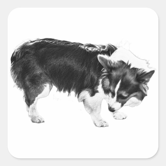 Sticker Carré Noyau de l'ombre des feuilles (Devant)