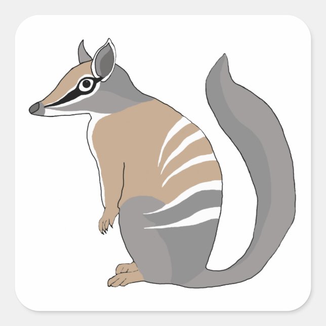 Sticker Carré Numbat (Devant)