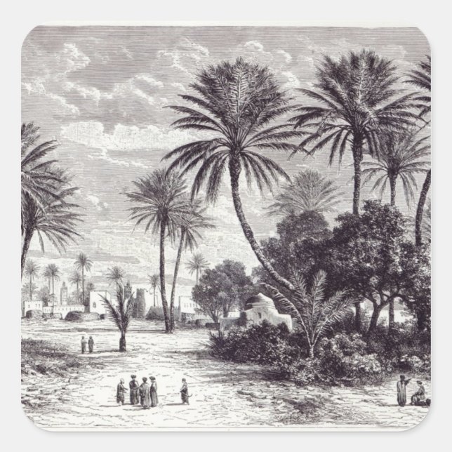 Sticker Carré Oasis de Gafsa : Tunis (Devant)