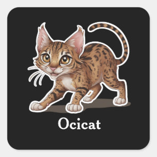 Sticker Carré Ocicat