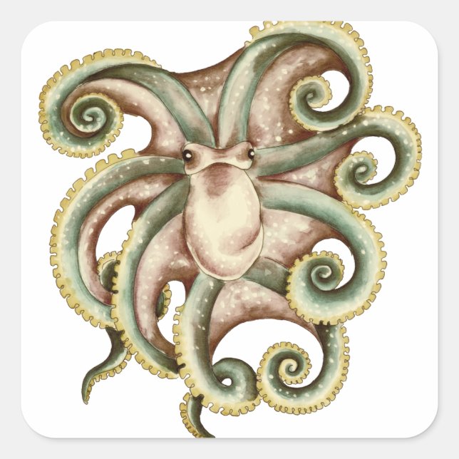 Sticker Carré Octopus vert (Devant)