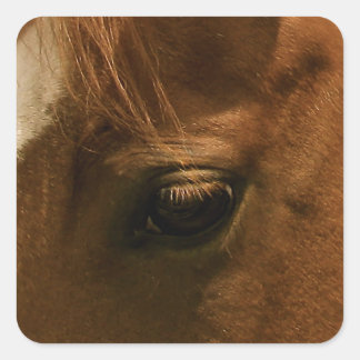 Sticker Carré Oeil de cheval âeux