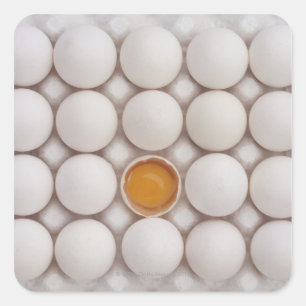 Sticker Carré Oeufs