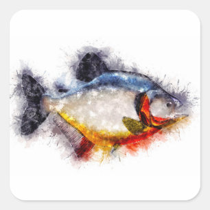 Sticker Carré OEuvre d'aquarelle de poisson de piranha à ventre 