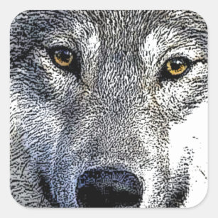 Sticker Carré OEuvre Wolf Eyes
