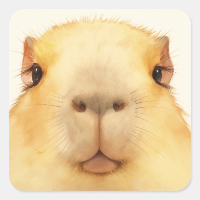 Sticker Carré Oh bonjour capybara (Devant)