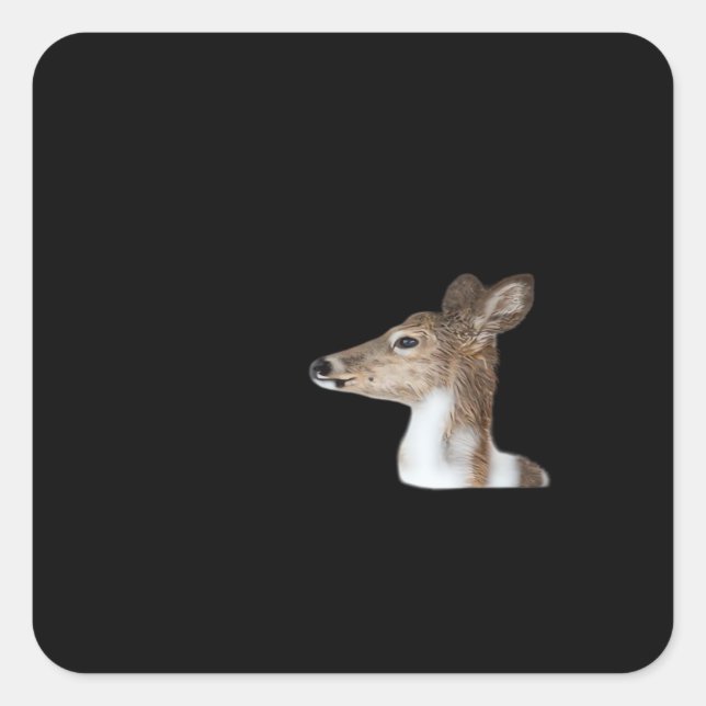 Sticker Carré Oh Deer Minimal Modern Design (Devant)