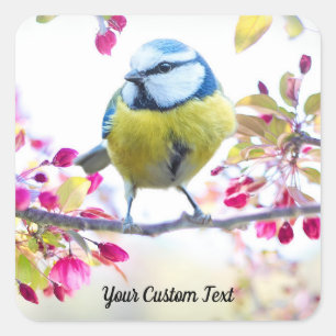 Sticker Carré Oiseau chanteur coloré & Fleurs de printemps, Votr