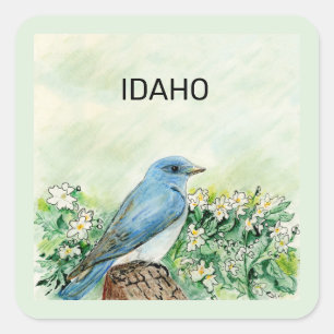 Sticker Carré Oiseau de l'État d'Idaho et fleur
