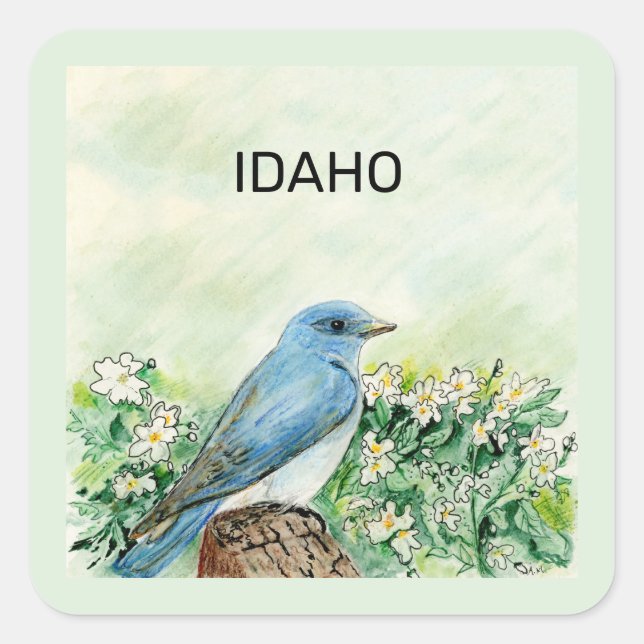 Sticker Carré Oiseau de l'État d'Idaho et fleur (Devant)