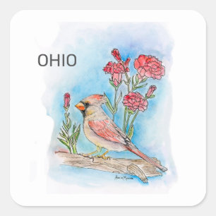 Sticker Carré Oiseau de l'Ohio et fleur