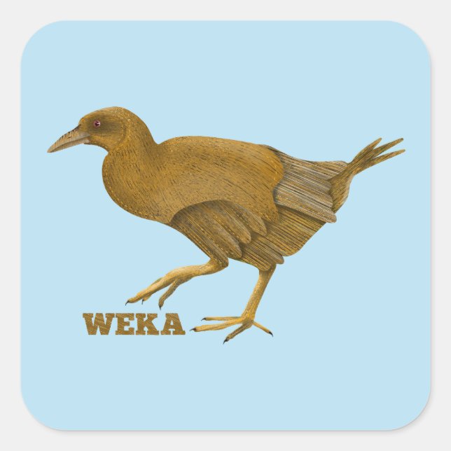Sticker Carré Oiseau de Weka N.Z. (Devant)