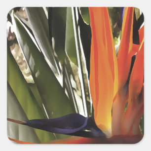 Sticker Carré Oiseau du Paradis Strelitzia Reginae Acrylique Pai