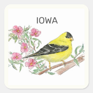 Sticker Carré Oiseau et fleur de l'État de l'Iowa
