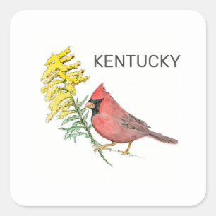Sticker Carré Oiseau et fleur du Kentucky