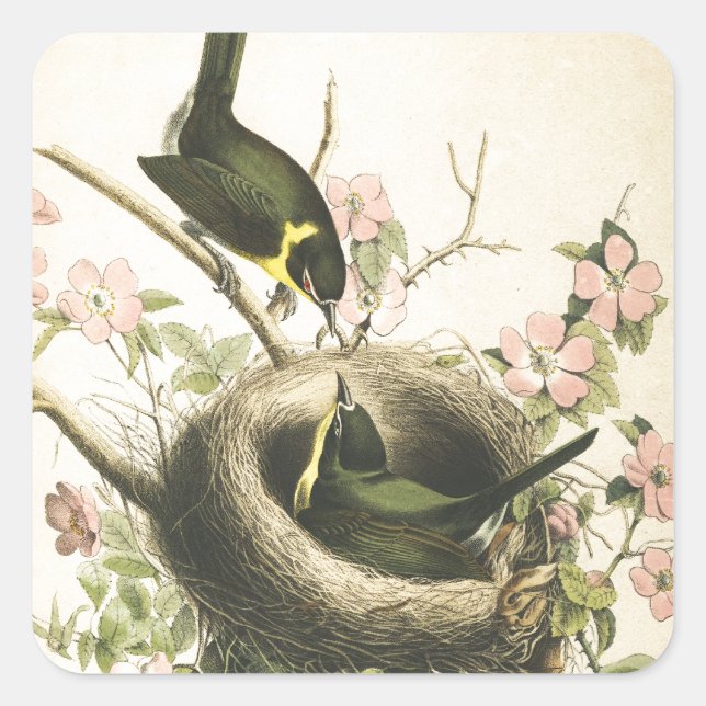 STICKER CARRÉ OISEAU ET NIVEAU DE CATCHER DE VOL (Devant)