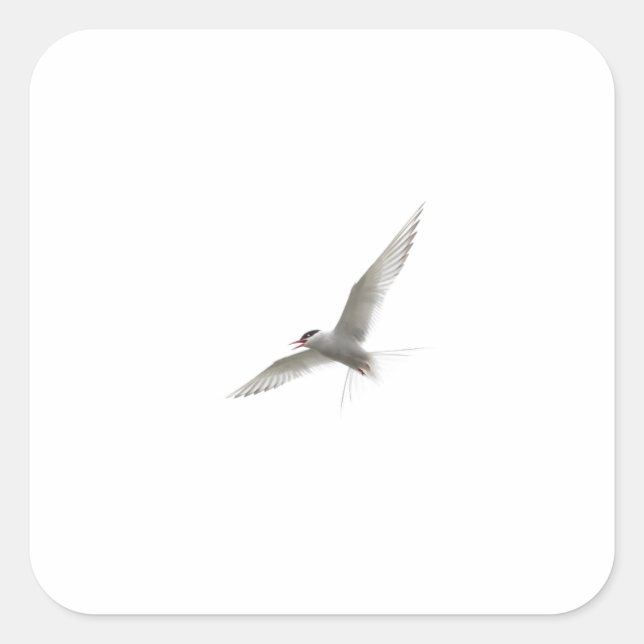 STICKER CARRÉ OISEAU GRATUIT (Devant)