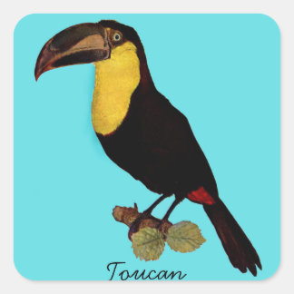 Sticker Carré OISEAU TOUCAIN vintage. BÂTIMENT TOUCAIN JAUNE