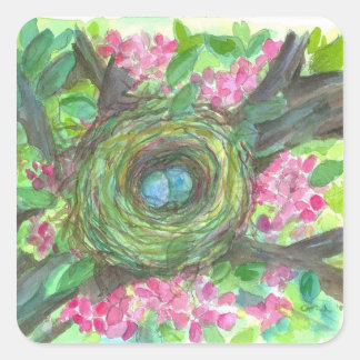 Sticker Carré Oiseaux Nid Robins OEufs Aquarelle Fleurs