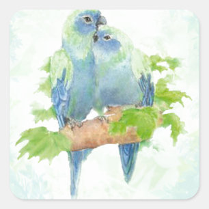 Sticker Carré Oiseaux tropicaux de perroquet d'aquarelle bleue