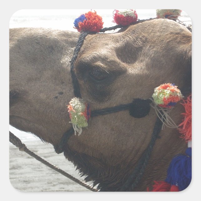 Sticker Carré Oman Mascate Photo Art (Devant)