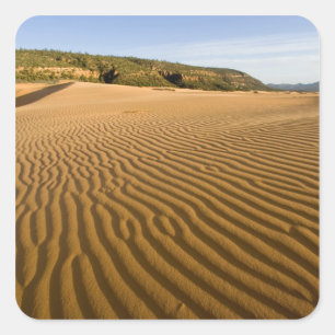 Sticker Carré Ondulations de sable et dunes à Coral Pink Sand 2