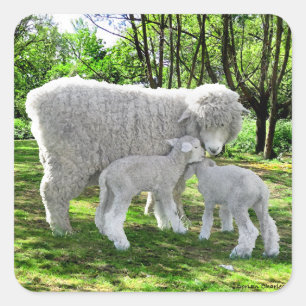 Sticker Carré "Oona & Her Twins"