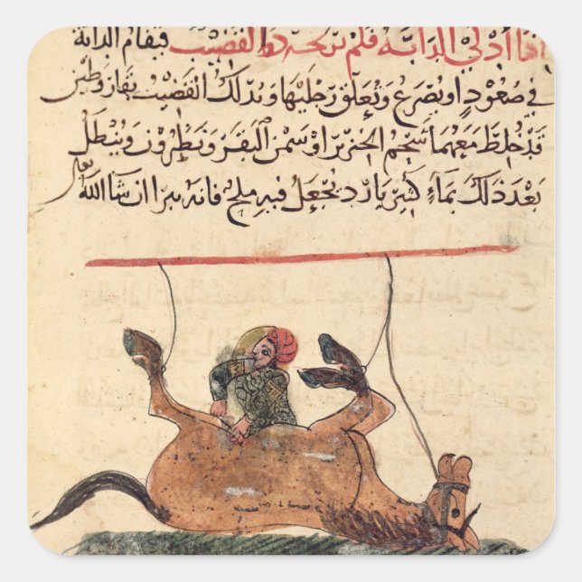 Sticker Carré Opération sur un cheval, illustration (Devant)