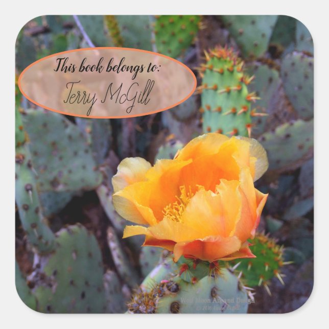 Sticker Carré Orange poire opuntia cactus photo fleur (Devant)