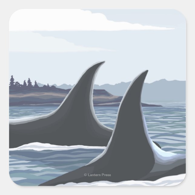 Sticker Carré Orca Whales #1 - Ketchikan, Alaska (Devant)