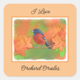 Sticker Carré Orchard Oriole Songbird Peinture Oiseau original