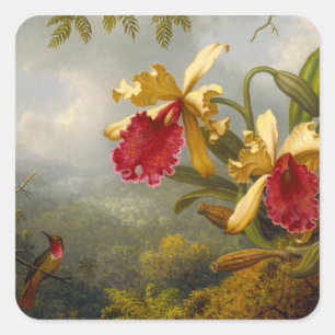 Sticker Carré Orchidées et colibri Heade