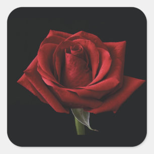 Sticker Carré oreiller rouge