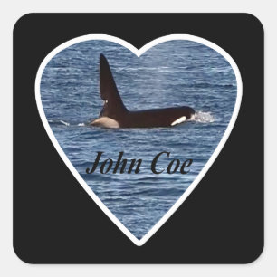 Sticker Carré Orque Personnalisée John Coe Baleine Tueuse
