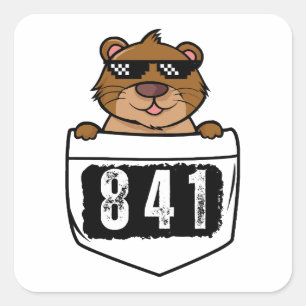Sticker Carré Otter 841