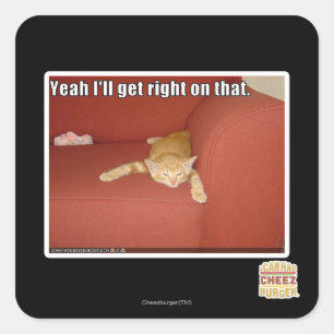 Sticker Carré Oui, j'y vais.