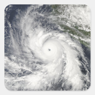 Sticker Carré Ouragan Rick