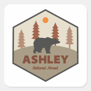 Sticker Carré Ours forestier national Ashley