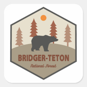 Sticker Carré Ours forestier national de Bridger-Teton