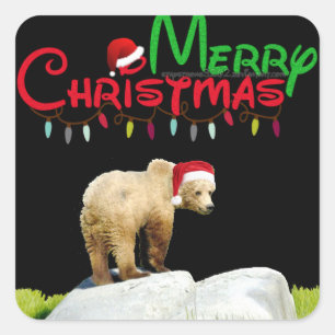 Sticker Carré Ours grizzli de Noël
