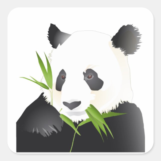 Sticker Carré Ours Panda (Devant)