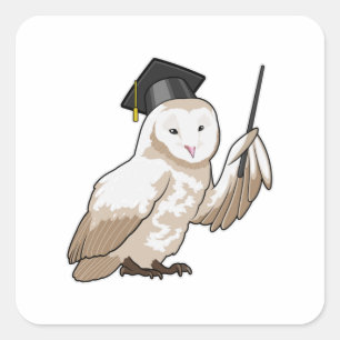 Sticker Carré Owl as Teacher with Pointer