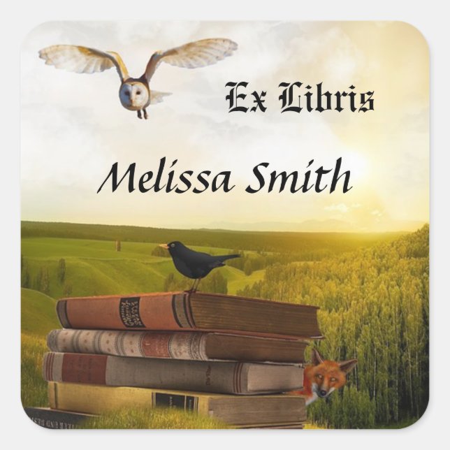 Sticker Carré Owl Et Livres Ajouter Nom Ex Libris (Devant)
