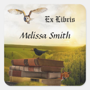 Sticker Carré Owl Et Livres Ajouter Nom Ex Libris