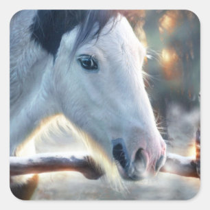 Sticker Carré Owl Horse et Beautful
