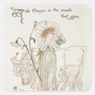 Sticker Carré Oxydes sauvages dans les boules qui regardent