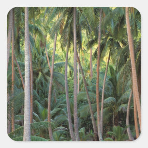 Sticker Carré Pacifique Sud, Polynésie française, Bora Bora.