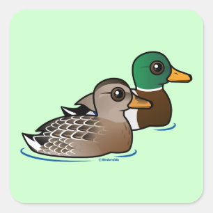 Sticker Carré Paires de Mallard